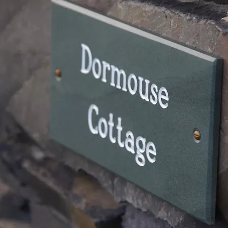 Dormouse Coniston
